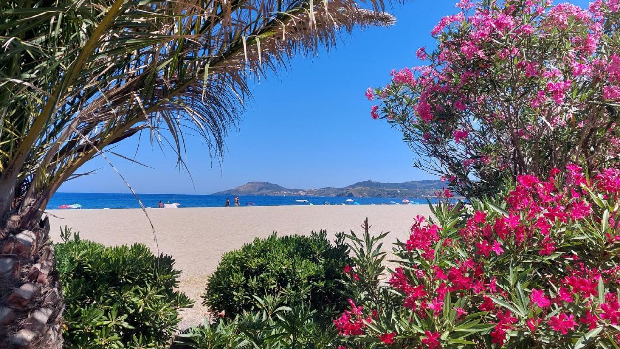 Sur La Plage, Super Studio Avec Vue Sur La Mer Plage dʼArgelès Kültér fotó