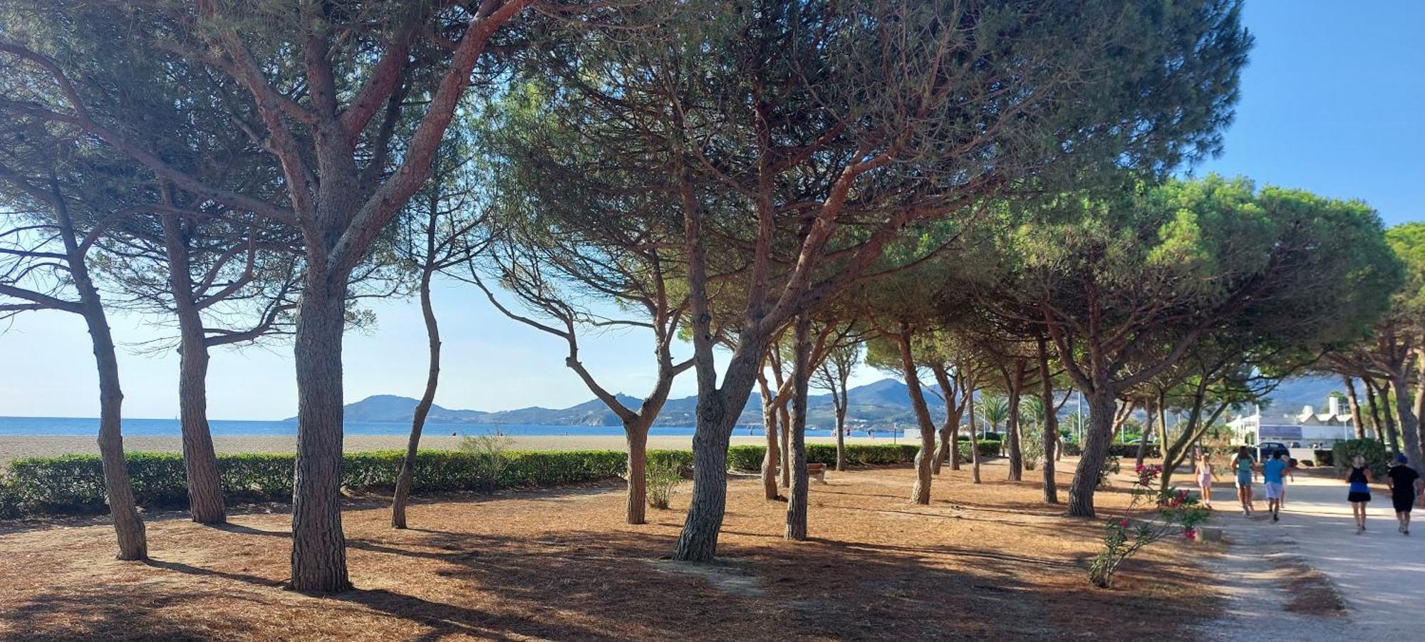 Sur La Plage, Super Studio Avec Vue Sur La Mer Plage dʼArgelès Kültér fotó