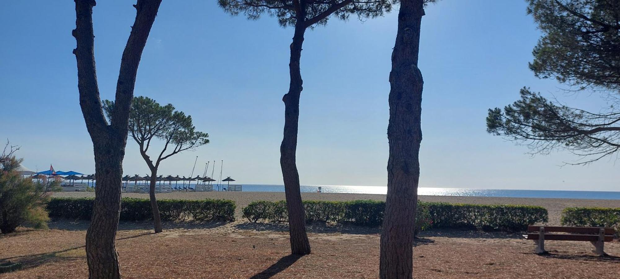 Sur La Plage, Super Studio Avec Vue Sur La Mer Plage dʼArgelès Kültér fotó